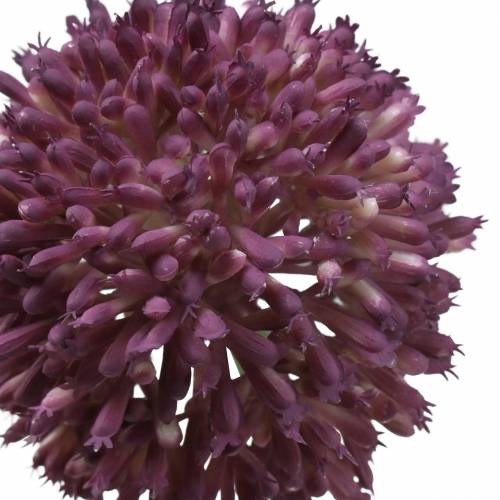 Floristik24 Okrasný allium umělý šeřík Ø8cm 58cm