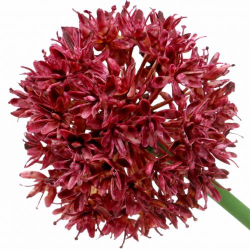 položky Cibule okrasná Allium umělá nafialovělá Ø7cm V58cm 4ks