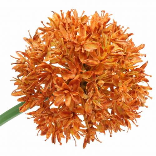 Floristik24 Cibule okrasná Allium umělá pomeranč Ø7cm V58cm 4ks