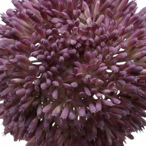 Floristik24 Okrasný allium umělý šeřík Ø12cm 65cm