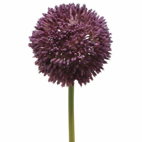 Floristik24 Okrasný allium umělý šeřík Ø12cm 65cm