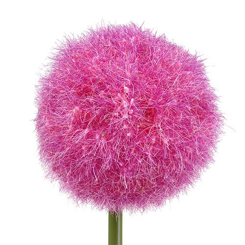 Floristik24 Allium 68cm růžovo-fialová