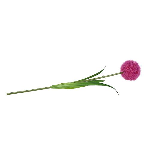 Floristik24 Allium 68cm růžovo-fialová