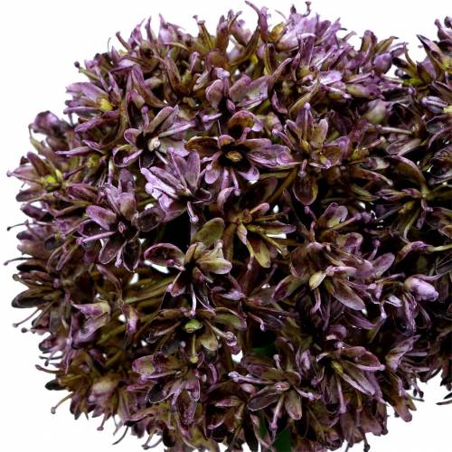položky Cibule okrasná Allium umělý šeřík 70cm 3ks