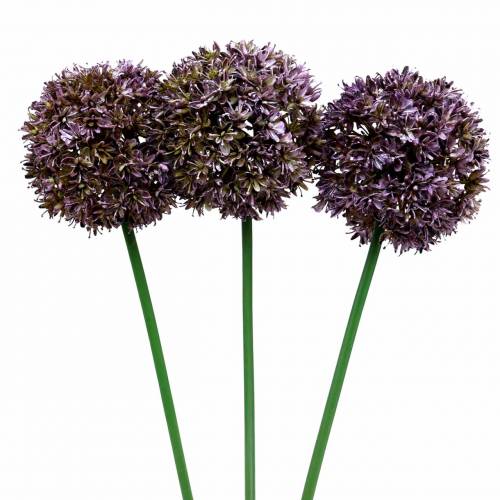 Floristik24 Cibule okrasná Allium umělý šeřík 70cm 3ks