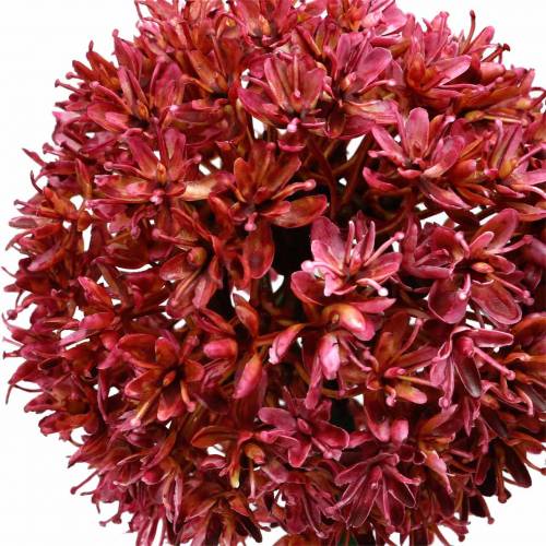 Floristik24 Cibule okrasná Allium umělá nafialovělá Ø9cm V70cm 3ks