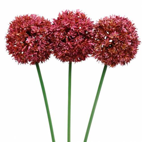 Floristik24 Cibule okrasná Allium umělá nafialovělá Ø9cm V70cm 3ks