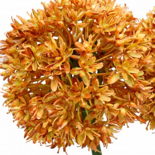 Floristik24 Cibule okrasná Allium umělá pomeranč 70cm 3ks