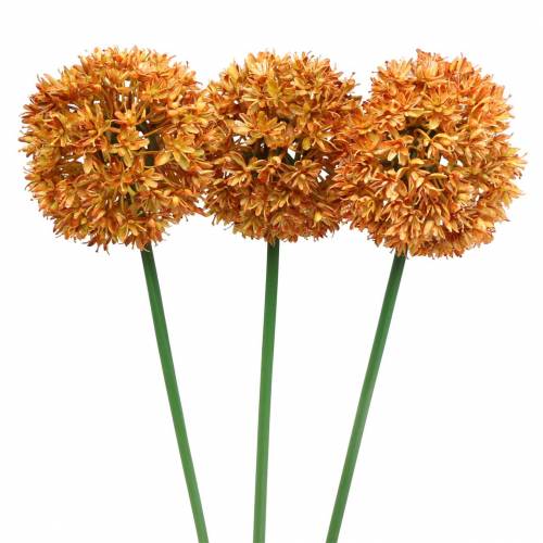 Floristik24 Cibule okrasná Allium umělá pomeranč 70cm 3ks