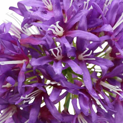 Floristik24 Okrasná allium umělá fialová Ø12cm H62cm