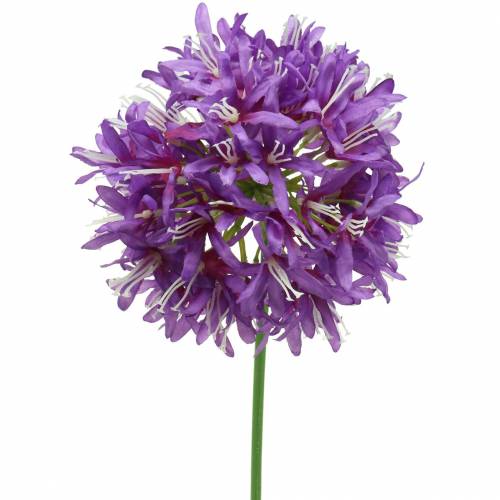 Floristik24 Okrasná allium umělá fialová Ø12cm H62cm