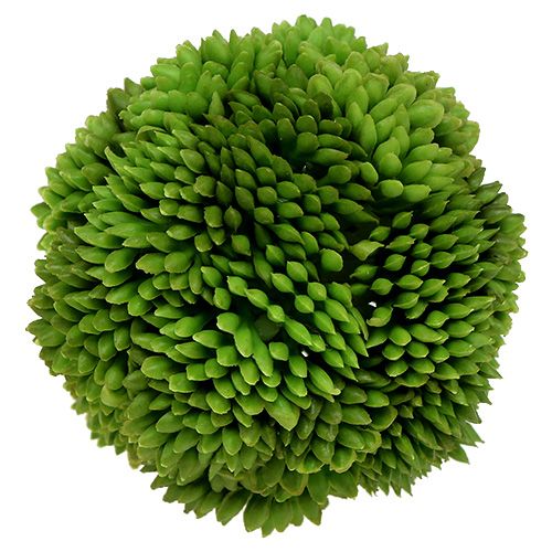 Floristik24 Alliová koule 5cm zelená 4ks