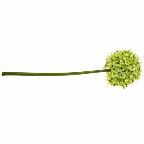 položky Okrasná cibule Allium, hedvábný květ, umělá kulička pórek zelený Ø20cm L72cm