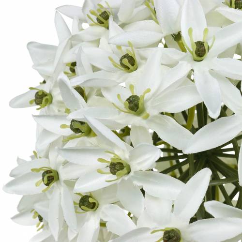 položky Dekorativní květina Allium, umělá kulička pórek, okrasná cibule bílá Ø20cm L72cm