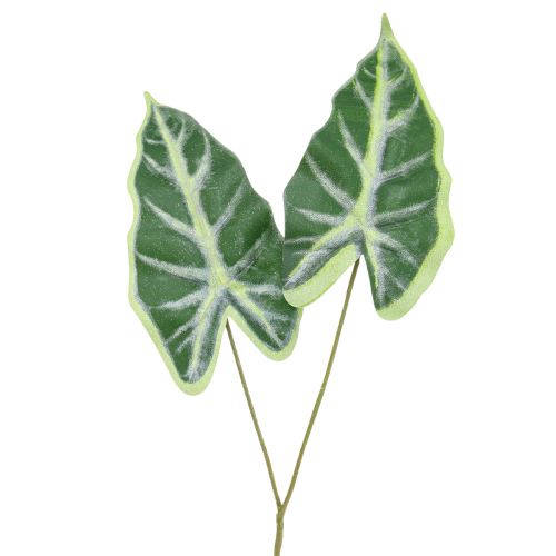 Floristik24 Alocasia Elephant Ear Arrow List umělé rostliny zelené 55cm