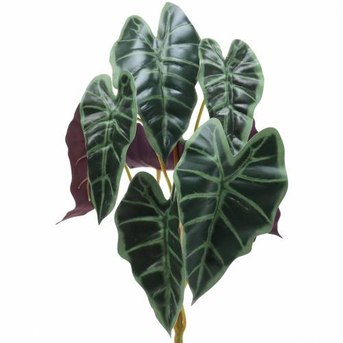 položky Alocasia arrow listová zelená, fialová umělá rostlina V48cm