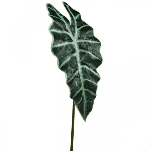 Floristik24 Umělý list šípu umělá rostlina alocasia deco zelená 74cm