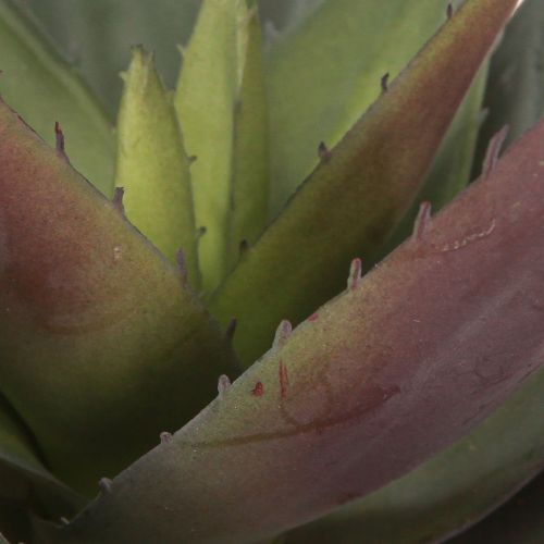 položky Aloe Vera umělá rostlina Fialová umělé sukulenty Ø18cm