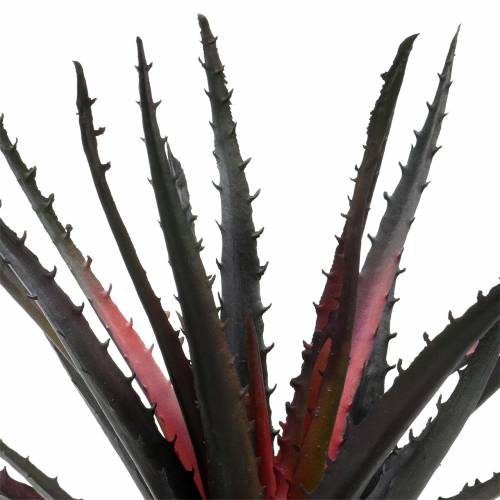 položky Aloe Vera umělá fialová 26cm