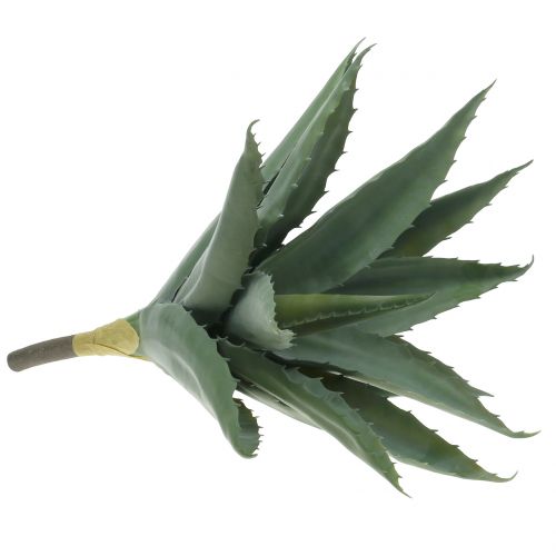 Floristik24 Větev aloe umělá zelená 47cm