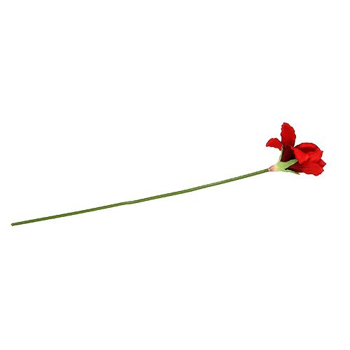 Floristik24 Amaryllis červená L 68cm 1ks