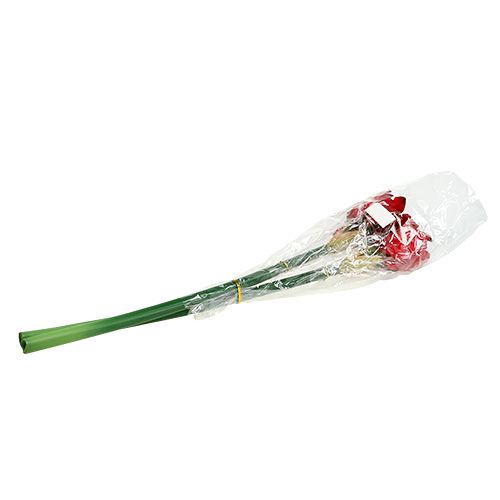 Floristik24 Amaryllis červená L 73cm 2ks