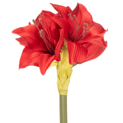 Umělý červený květ amarylis se stonkem, květinová dekorace na Vánoce, 50 cm | Floristik24.cz
