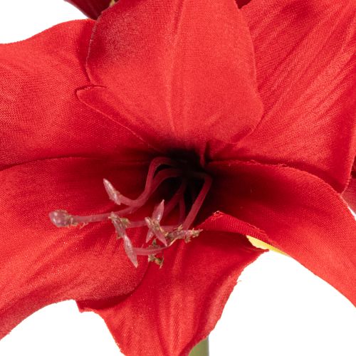 Umělý červený květ amarylis se stonkem, květinová dekorace na Vánoce, 50 cm | Floristik24.cz