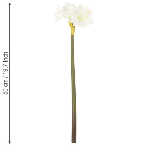 Umělý květ amarylis, bílý, se stonkem, adventní a vánoční, 50 cm | Floristik24.cz