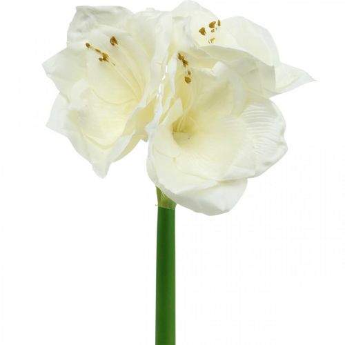 Floristik24 Umělá květina Amaryllis bílá rytířská hvězda Vánoční dekorace V40cm