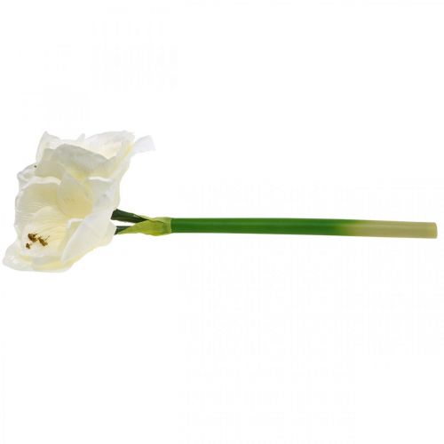 Floristik24 Umělá květina Amaryllis bílá rytířská hvězda Vánoční dekorace V40cm
