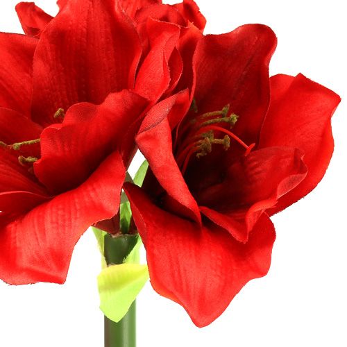 Floristik24 Amaryllis umělá 60cm červená