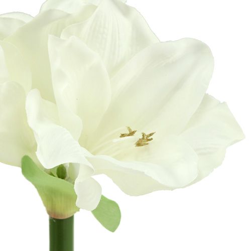 Floristik24 Amaryllis umělá 60cm bílá