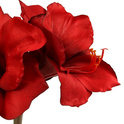 Floristik24 Amaryllis umělá velká červená 96,5cm