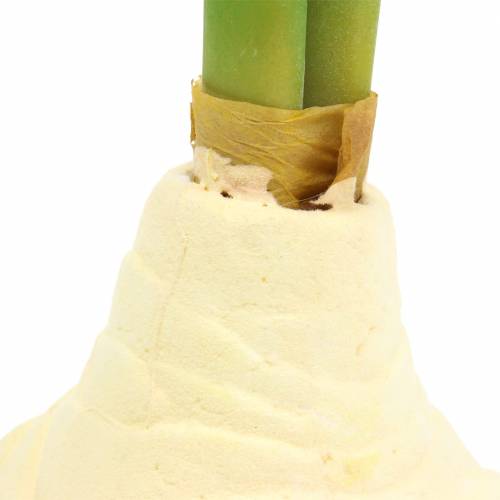 Floristik24 Hlíza Amarylis s poupaty Umělá bílá H30cm