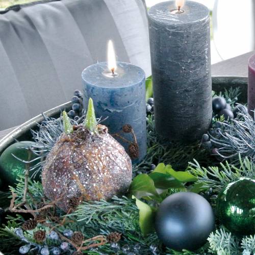 Floristik24 Cibulka Amarylis s třpytkami umělá hnědá H19cm