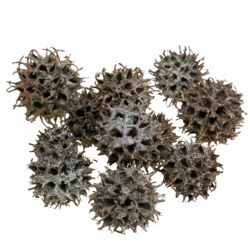 položky Sweetgum šišky přírodní prané bílé 250g