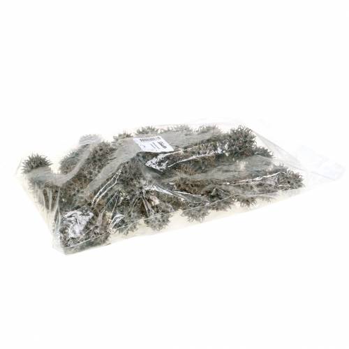 položky Sweetgum šišky přírodní prané bílé 250g