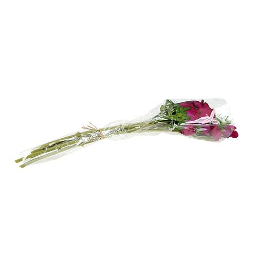Floristik24 Umělá sasanka Fuchsia 6ks