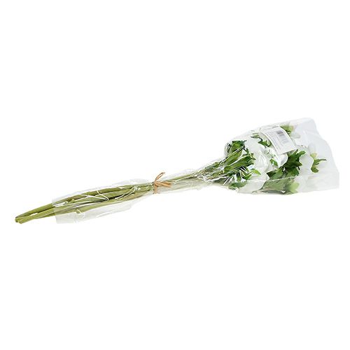 Floristik24 Sasanka umělá bílá 6ks