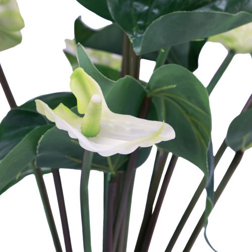 položky Umělé květiny, květ plameňáka, umělá anthurium bílá 36cm