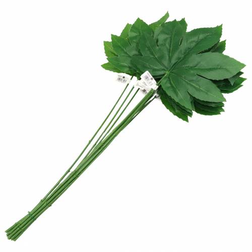 položky Aralia list se stonkem zelený L61,5cm 12ks