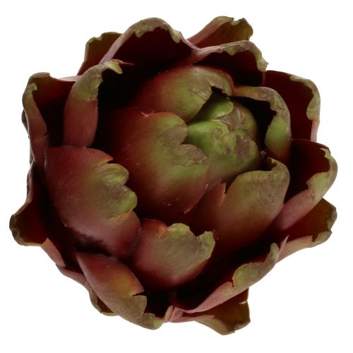 Floristik24 Artyčok hnědý, zelený Ø10cm H11cm