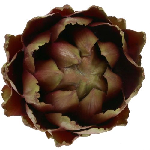 Floristik24 Artyčok zelený, fialový Ø12cm V13cm