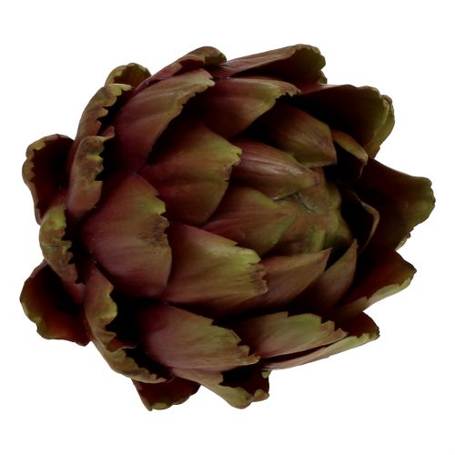 Floristik24 Artyčok zelený, fialový Ø12cm V13cm
