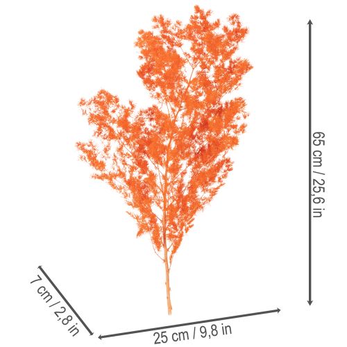 Sušené květy chřestu, větvičky, okrasný chřest, barvený 65 cm, 80 g | Floristik24.cz