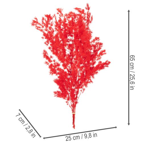 Sušený chřestový svazek na květinovou výzdobu 65 cm 80 g | Floristik24.cz