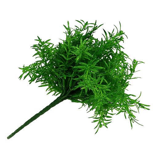 Floristik24 Keř chřestu zelený 25 cm