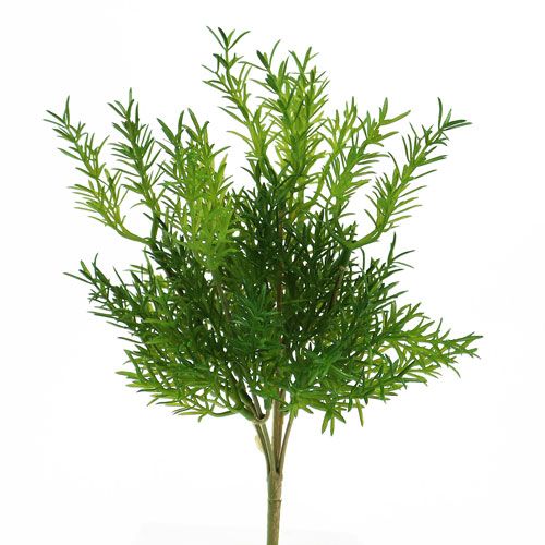 Česnek chřestu 26 cm
