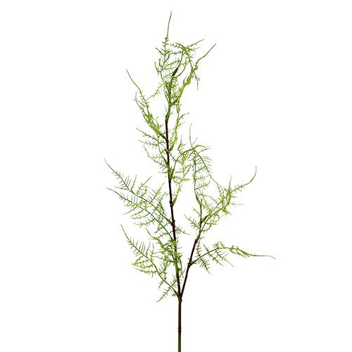 Chřest větev 75cm zelená 3ks